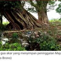 viral-bermunculan-harta-karun-majapahit-di-dalam-gua-akar-pohon-raksasa