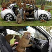 bobrok-anies-baswedan-dibongkar-psi-isinya-telak