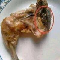 sindir-denny-siregar-cs-kita-yg-nasrani-tak-masalah-umat-lain-ucapkan-natal---tidak