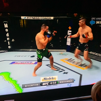 petarung-mma-favorit-dari-ufcstrikeforcebellator-dll-serta-event--nya---part-1