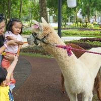 scientia-square-park-taman-bermain-anak-di-serpong