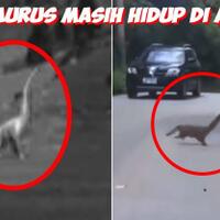 dinosaurus-masih-ada-di-afrika-benar-atau-tidak