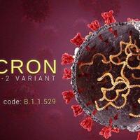 jangan-ke-luar-negeri-kasus-omicron-sudah-46-orang-karantina-bakal-diperketat