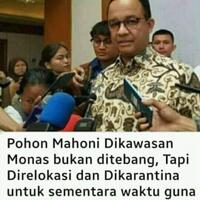 ancol-jadi-arena-sirkuit-formula-e-jakpro-pastikan-tak-tebang-pohon