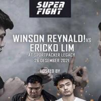 gokil-real-fight-2-youtuber--winson-reynaldi-vs-eriko-lim