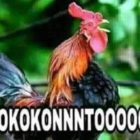 diperiksa-polisi-habib-bahar-kalau-saya-dipenjara-demokrasi-sudah-mati