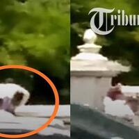 viral-bule-rusia-lompat-pagar-demi-masuk-ke-candi-prambanan-begini-faktanya