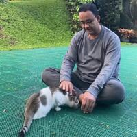 anies-kenalkan-lego-kucing-berkaki-tiga-penguasa-kasur-keluarga