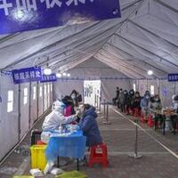 mengejutkan-ini-biang-kerok-omicron-di-china-bukan-manusia