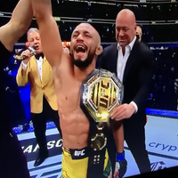 petarung-mma-favorit-dari-ufcstrikeforcebellator-dll-serta-event--nya---part-1