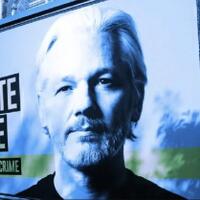 lawan-pemerintah-as-pendiri-wikileaks-lelang-nft-hasilkan-rp746-miliar