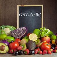 apakah-makanan-organik-lebih-sehat