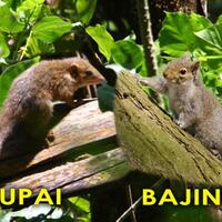 datangi-kantor-anies-baswesdan-direktur-kpk-sebut-banyak-celah-penyimpangan