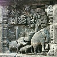 kota-kota-peradaban-kuno-yang-menghilang-dan-kini-kembali-di-temukan