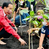 kepuasan-kinerja-jokowi-melonjak-golkar-harap-konsisten-hingga-2024