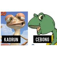 pilih-jadi-kadrun-atau-jadi-cebong