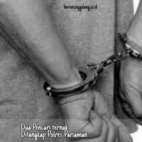 dua-pencuri-ternak-ditangkap-polres-pariaman