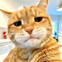 kebohongan-brand-indonesia-tampil-paris-fashion-week-terbongkar