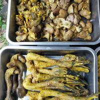 lounge-regional-karesidenan-bojonegoro---part-12