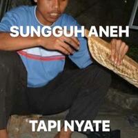 elon-musk-tantang-putin-berkelahi-satu-lawan-satu