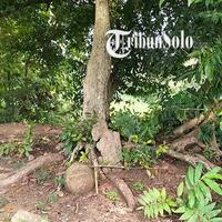 mitos-dukuh-jenar-sragen-dilarang-gelar-pertunjukan-wayang-bisa-undang-petaka