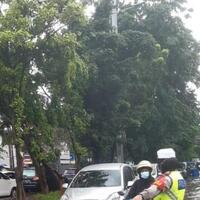 pengamat-tata-kota-sebut-pembangunan-resapan-di-jakarta-tak-efektif-atasi-banjir