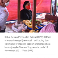 ibu-ibu-rebutan-minyak-goreng-megawati-apa-tidak-ada-cara-untuk-merebus-mengkukus