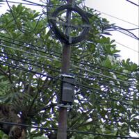 post-image