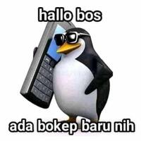 video-viral-40-detik-arachuu-pramuka-siapakah-dia