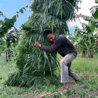 ending-menggantung-drakor-populer-vagabond