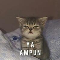 fresh-chapter-of-dear-diary---part-4