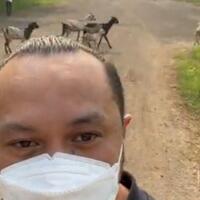 orangnya-anies-ke-giring-psi-gak-usah-marah-ada-lapak-buat-angon-kambing-di