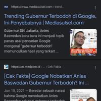 anies-dituduh-bagi-kaus-kampanye-ke-pemudik-riza-patria-telak-bilang-begini