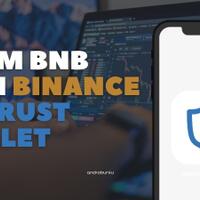 cara-mengirim-bnb-dari-binance-ke-trust-wallet