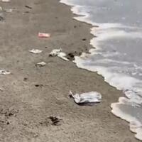 di-pantai-pangandaran-susi-pudjiastuti-terpaksa-pungut-sampah-buangan-turis-lokal