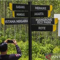 pembangunan-infrastruktur-dasar-di-ikn-nusantara-terus-berjalan