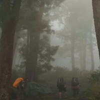 true-story-temu-pisah-di-alas-lali-jiwo