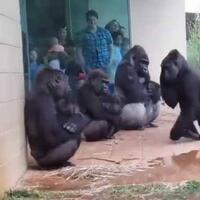 stop-terobos-rel-kereta-api-taati-aturan-untuk-menghindari-bahaya-kecelakaan