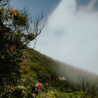 true-story-temu-pisah-di-alas-lali-jiwo