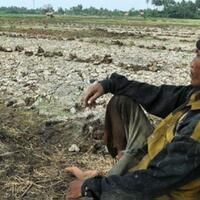 keterpurukan-kehidupan-petani-indonesia-sepanjang-masa
