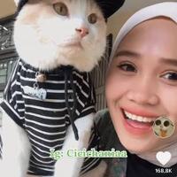 pororo-kucing-tiktok-ketemu-sebelumnya-hilang-di-margahayu