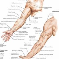 kkn-di-desa-penari-nyata-meminggirkan-rasa-budaya-jawa