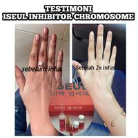 iseul-inhibitor-chromosome-whitening-infus-original