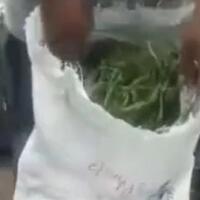 harga-cabai-naik-waspada-pedagang-culas-menipu-isian-karung-cabai-dengan-rumput