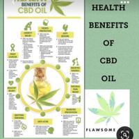 lingkar-ganja-nusantara---gerakan-legalisasi-pemanfaatan-ganja-di-indonesia