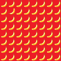 sebuah-introspeksi-diri-apakah-orang-pintar-selalu-benar