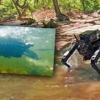 robot-anjing-yang-dibuat-untuk-militer-amerika-kini-dilengkapi-kemampuan-berenang