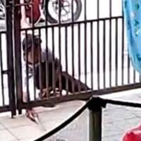 waspada-spesialis-maling-paket-kurir-dan-pemilik-rumah-harus-saling-memahami
