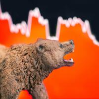 new-in-crypto-come-here-apa-sih-bear-market