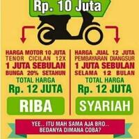 akal-akalan-syariah-di-negeri-yang-tercinta-babi-riba-pun-bisa-halal-jatuhnya